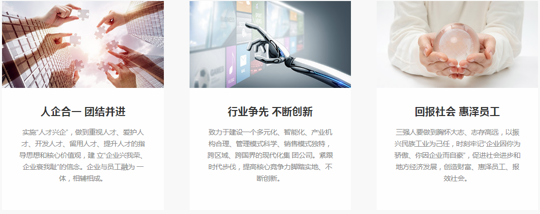 企業(yè)文化.png